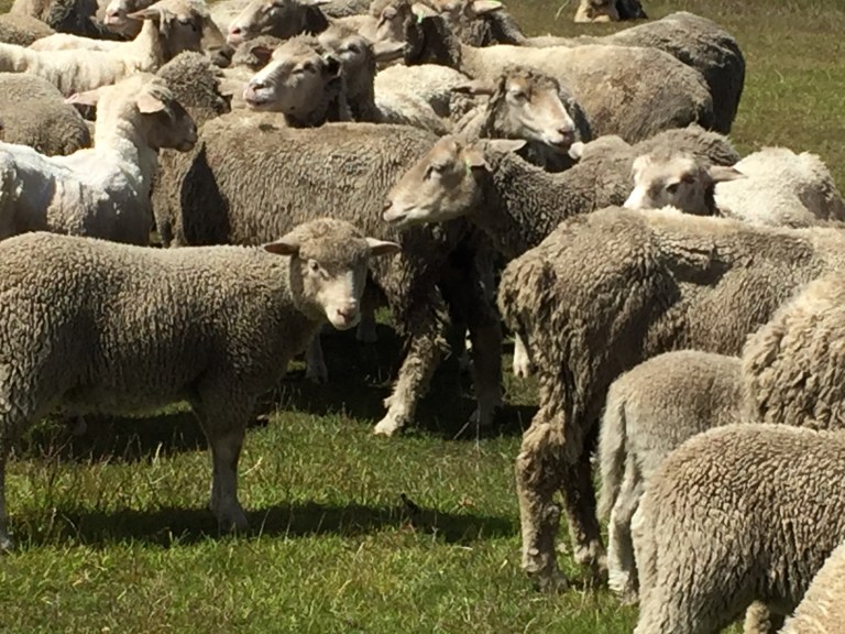 1125D314-6441-42F1-A294-A49443259C8D