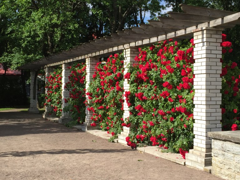 17C0C576-F1CB-446E-8850-4B947069DD27