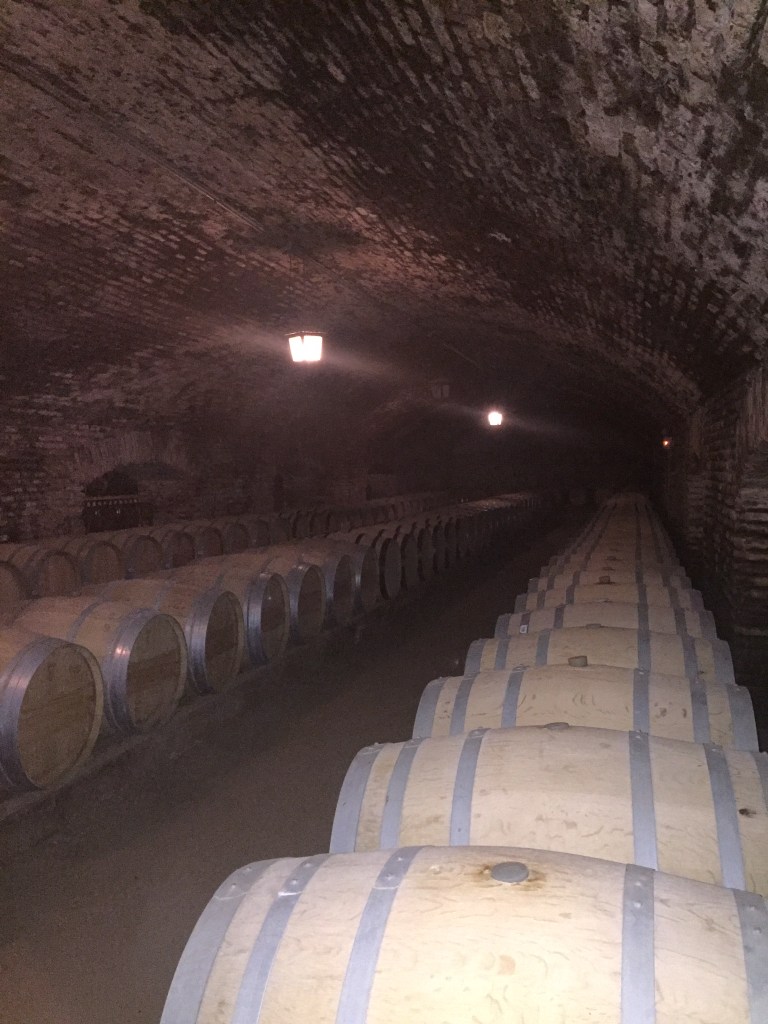 576F927F-5D95-46E2-9166-2C0D98914BD4