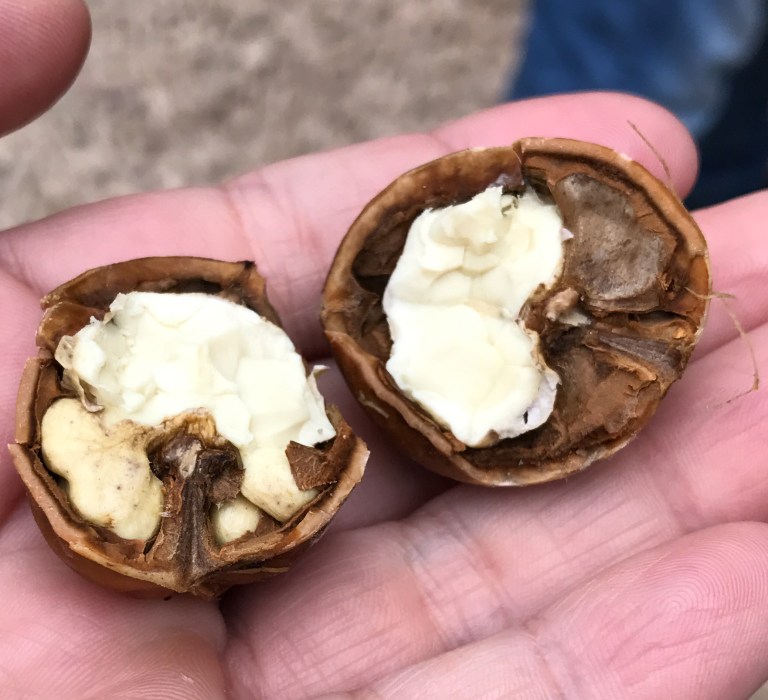 875D378B-06D4-4602-B0CD-09D107E1AE1F