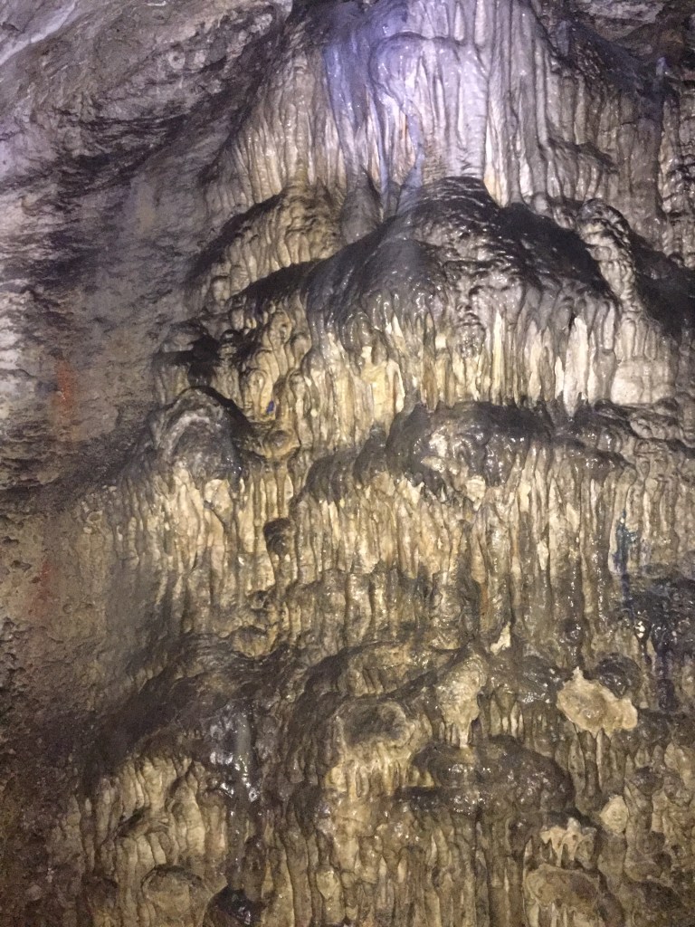 99C8A5E3-B2EB-494D-AE31-9B57E7E92D8F