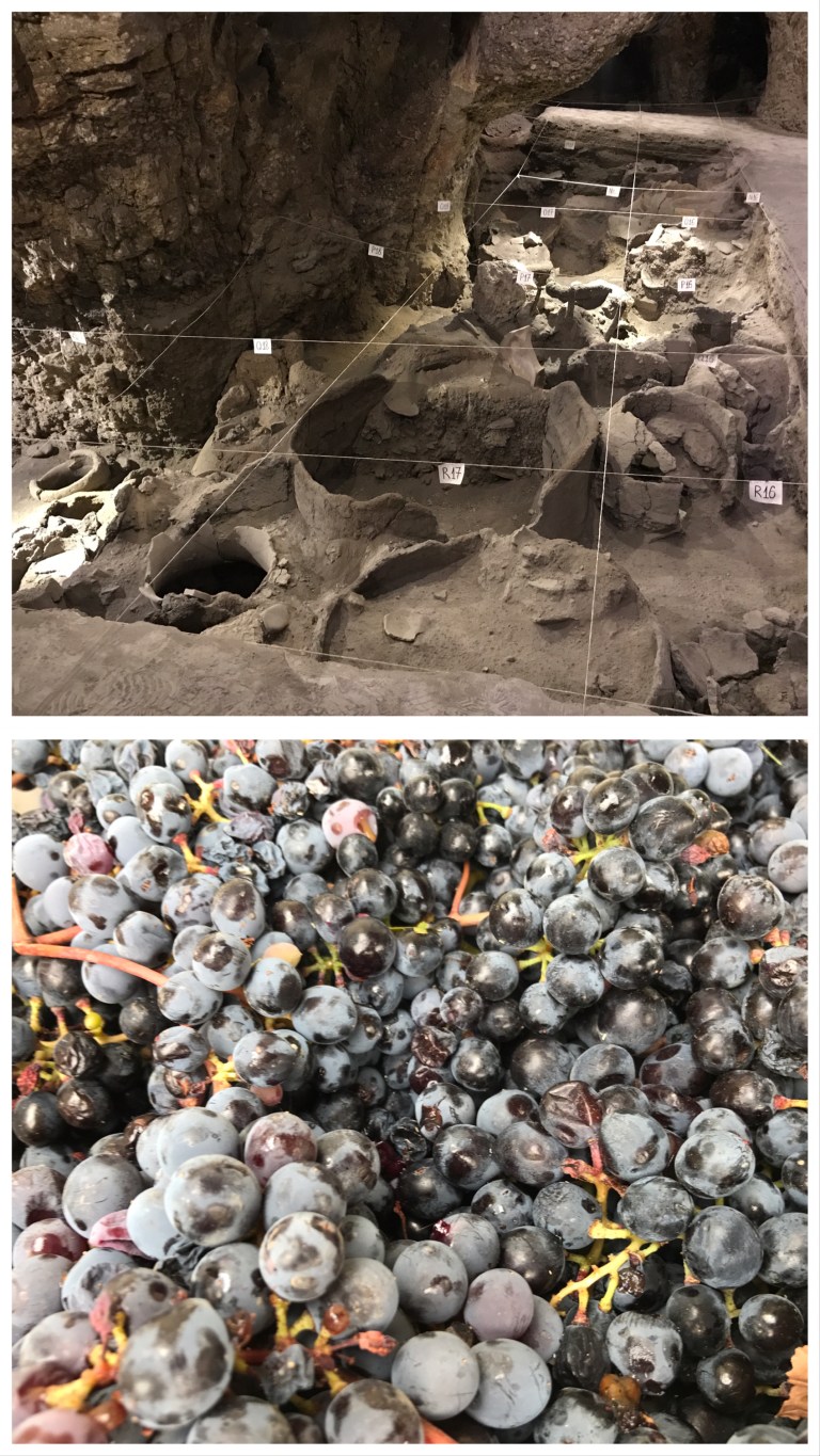 9EE5DC6A-EB6B-4B00-928A-3C62669DEFE9