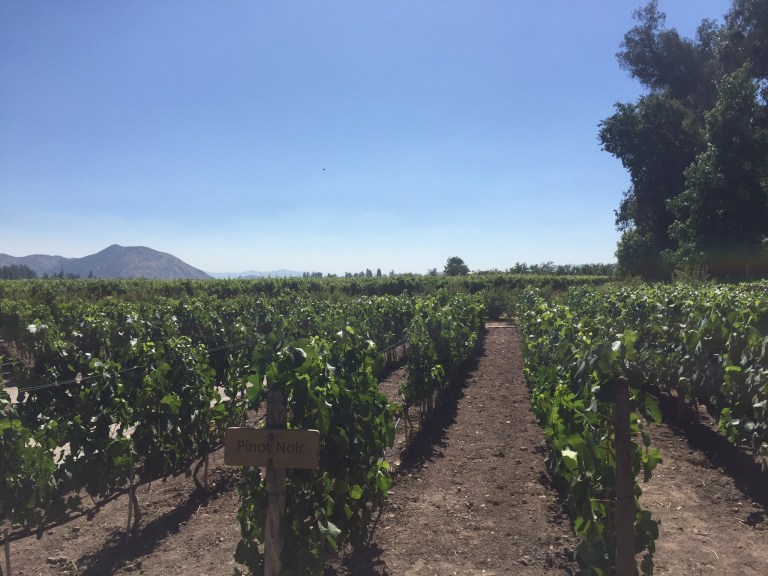 A39F8ADA-73B6-4D79-9295-5421D7540F4D