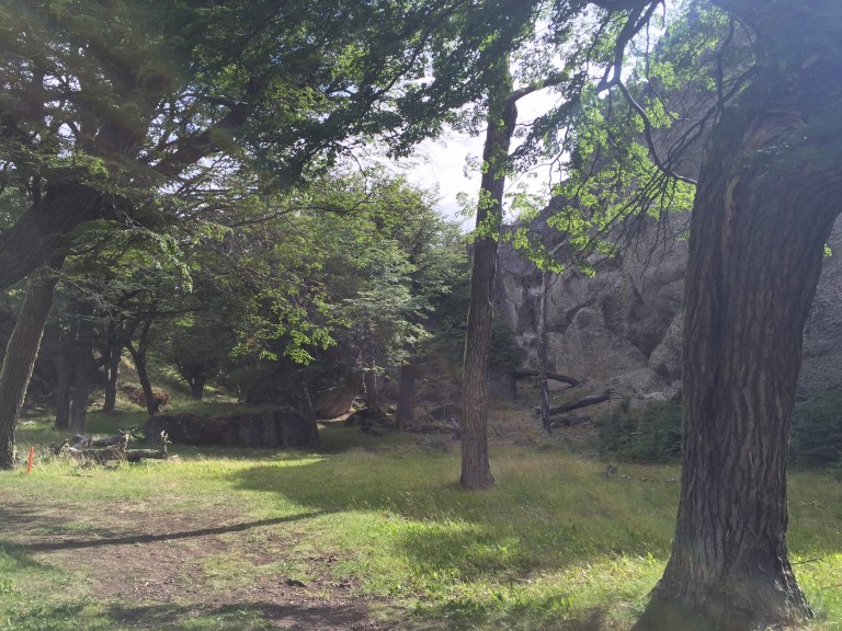 B2C902F2-23BC-493C-85DB-E2779D266AA7