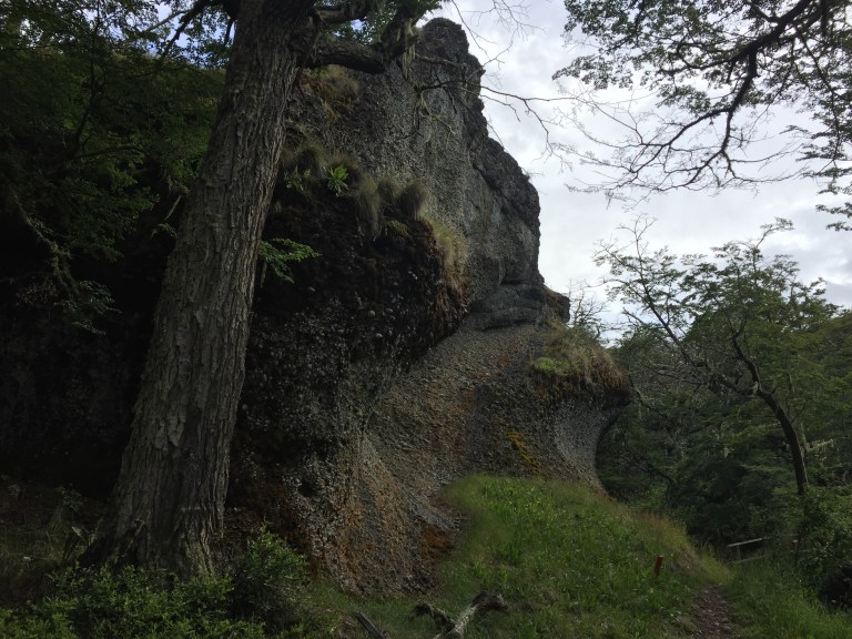 CA96EFA8-568E-4A42-8CEF-DB708D5D50AB