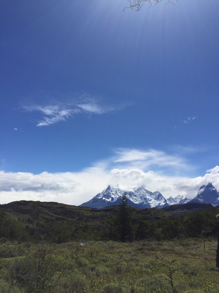 F559E8CD-49C1-496E-B899-DC0CB28C9DE9