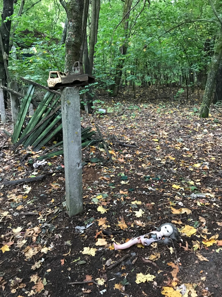 33C359B2-9111-4900-BF25-C7F533352067