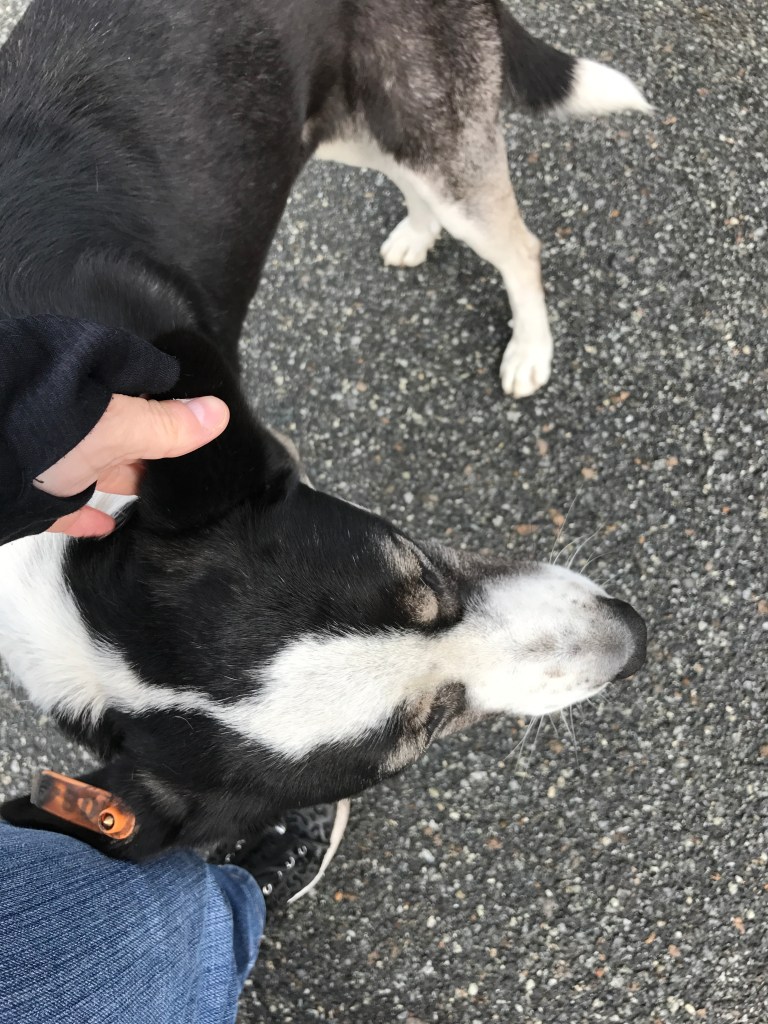 D638440A-F7A5-4FD6-BE8C-B23BA8ABDDA3