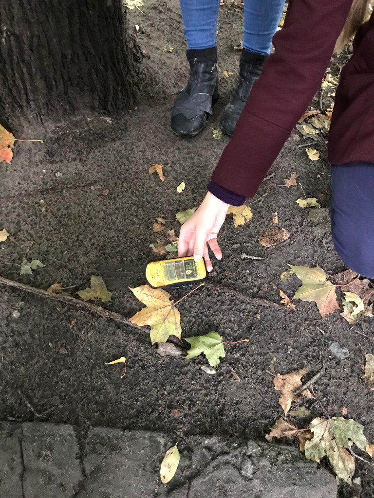 E32CED09-0A08-4AD5-85EE-2FBBE0B81FDB