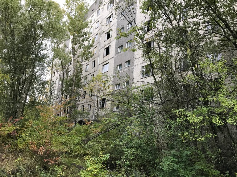 F7EA9992-CE9F-4814-B555-9DA0A58608B7